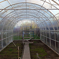 Теплица из прозрачного плоского шифера